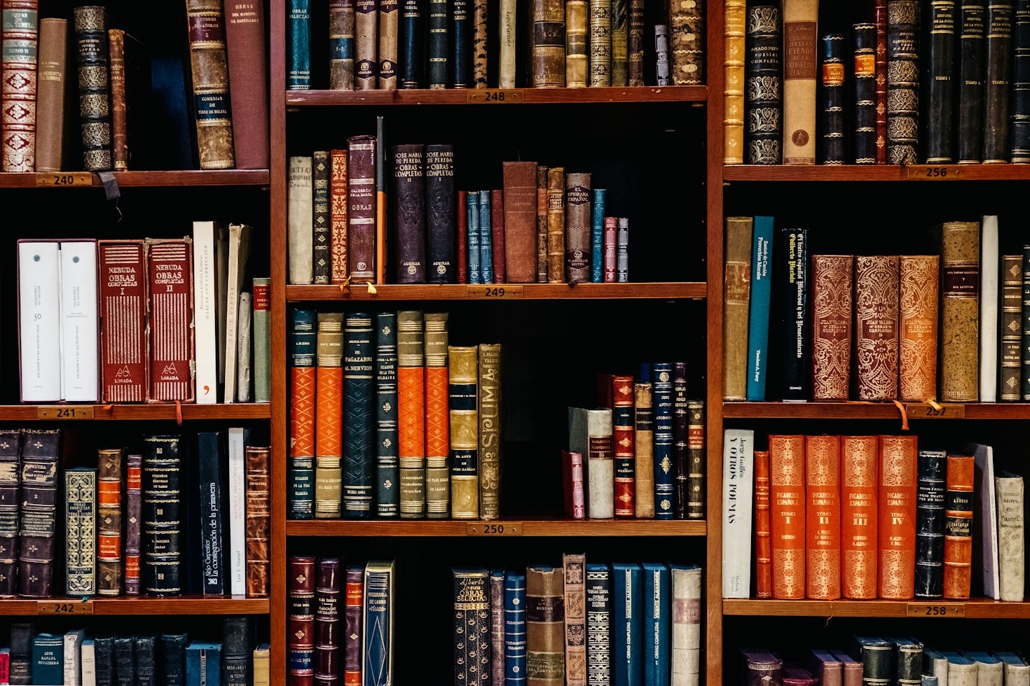 Lectura digital: el futuro de los libros
